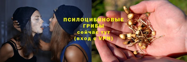 СК Арсеньев