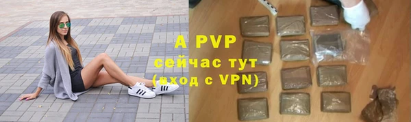 СК Арсеньев