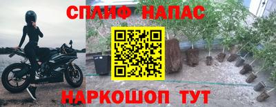 гидропоника Бердск