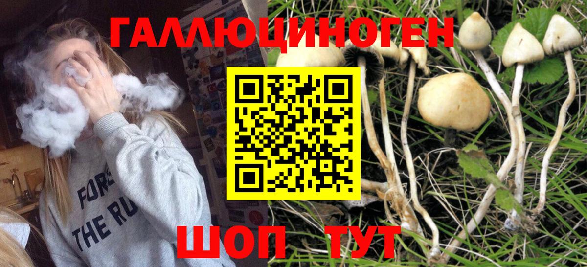 Верхняя Салда  Псилоцибиновые грибы Psilocybe  Галлюциногенные грибы мицелий  Вход с VPN 